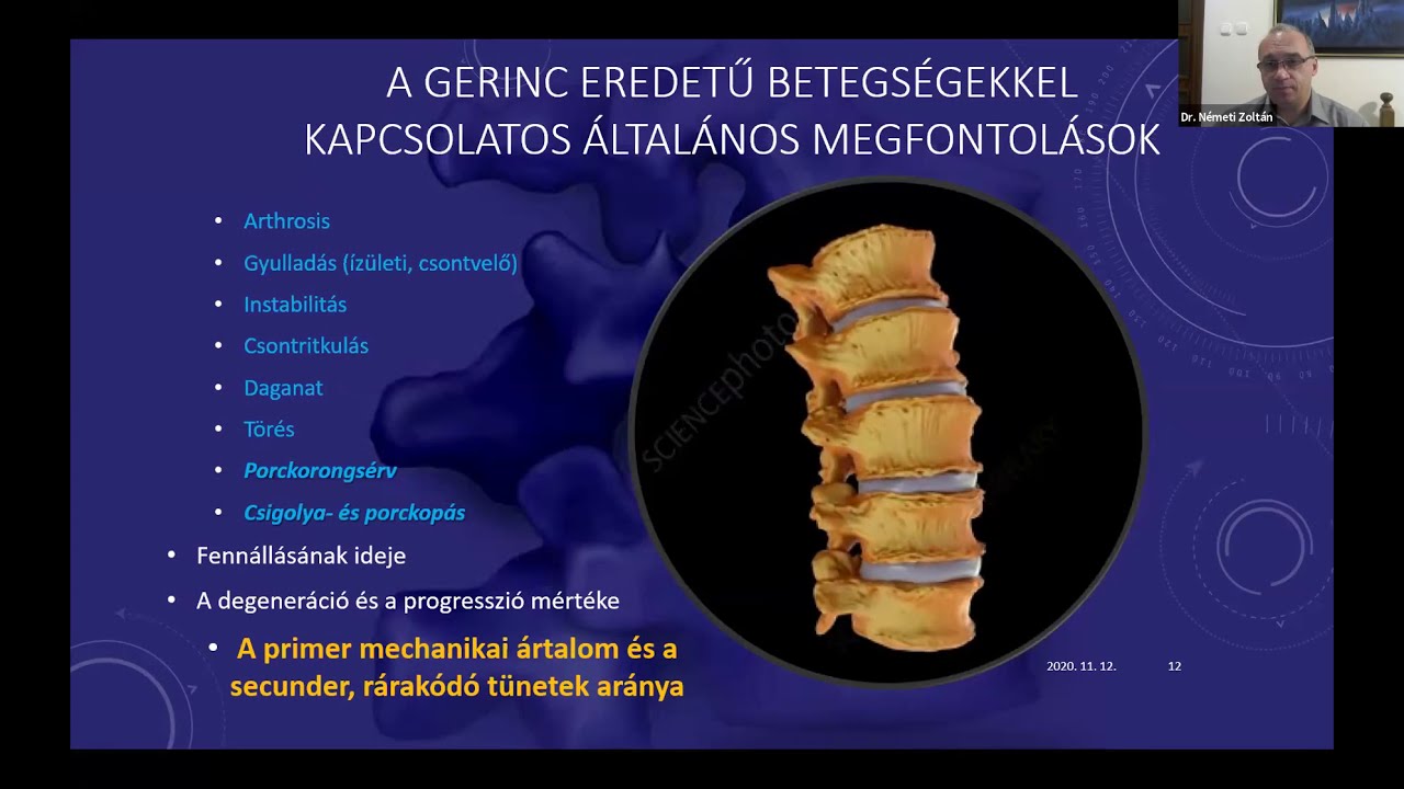 Gerincproblémák kezelése Bemer terápiával